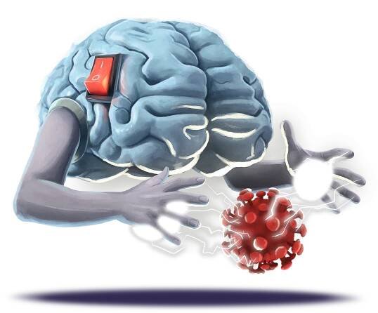 What is Transcranial Magnetic Stimulation (TMS)?
