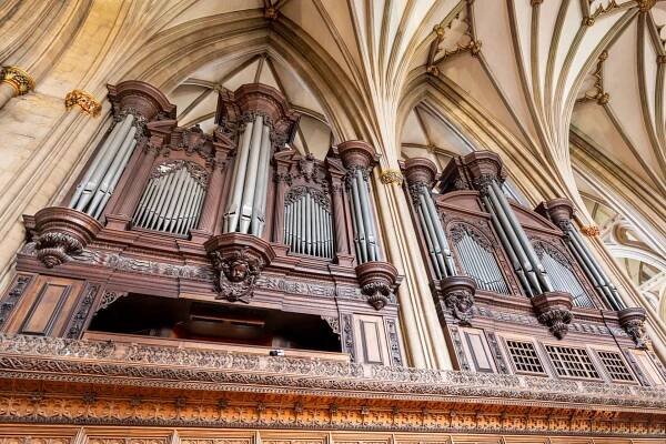 Organ - header