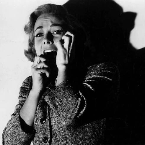 Carry on screaming: why women are drawn to horror