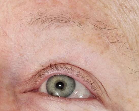 Microblading | Permanent Eyebrow | Hair Stroke & Powdered 