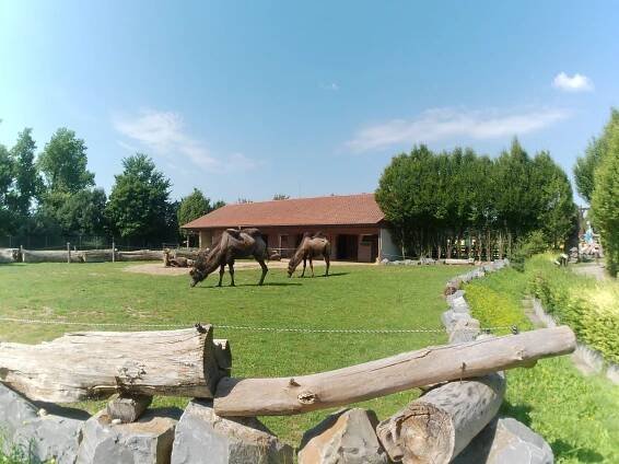 ZOO Vyškov 5