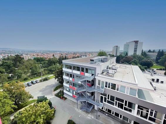 Pronájem showroomu  148 m², ulice Purkyňova, Brno - Královo Pole