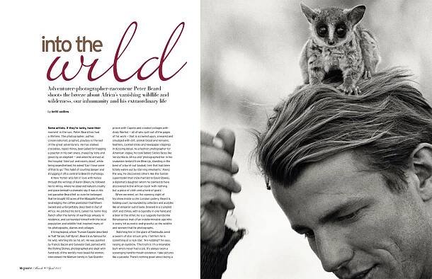 Journalism – Britt Collins