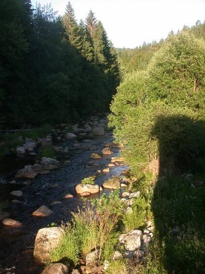 Kořenov