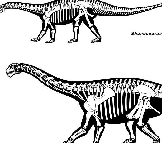 (PDF) Early Evolution and Higher-Level Phylogeny of Sauropod Dinosaurs