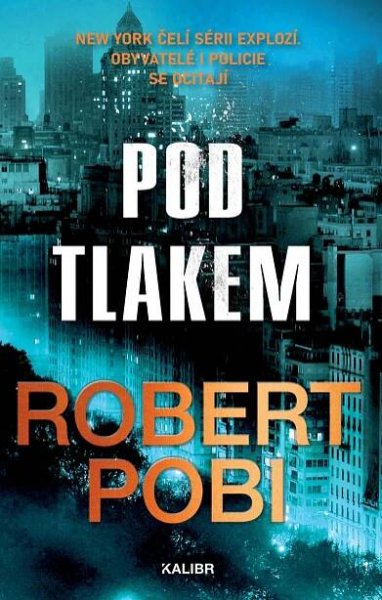 Robert Pobi - CENTRUM DETEKTIVKY