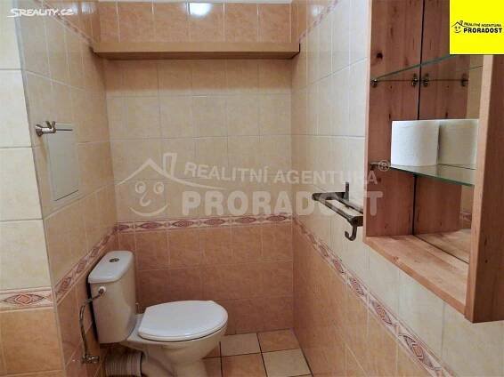 Pronájem Byt 1+1, Křivoklátská, Nové Strašecí, okres Rakovník