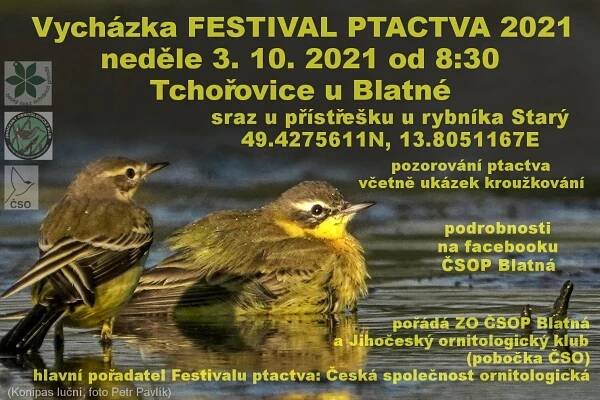 Pozvánka na Festival ptactva 2021 • Česká společnost ornitologická