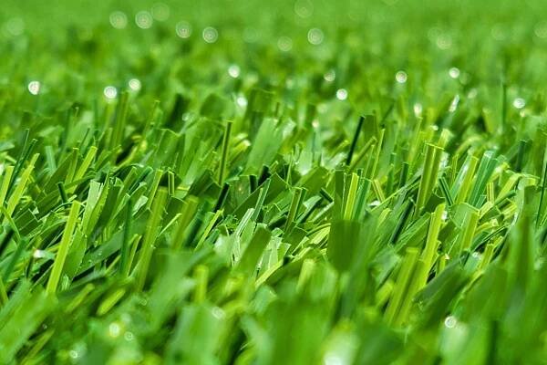 AstroTurf - AstroTurf 