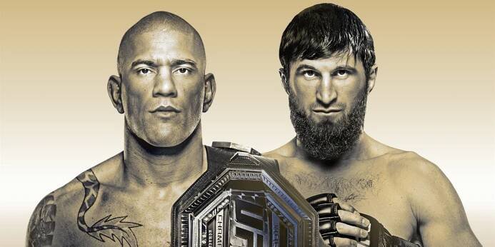 UFC 313