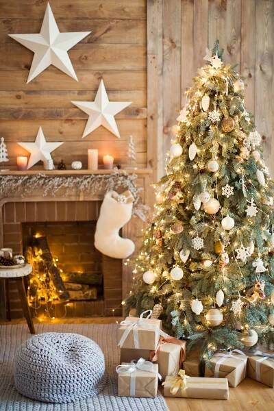 9 Different Types of Christmas Trees to Consider This Holiday Season