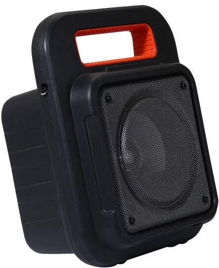 Buy Party Pal 20 Online - Best Party Bluetooth Speakers | boAt 