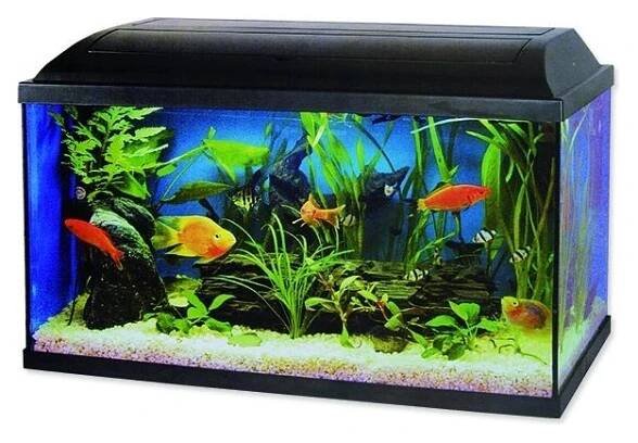 Akvarium set Pacific 54l s LED osvětlením