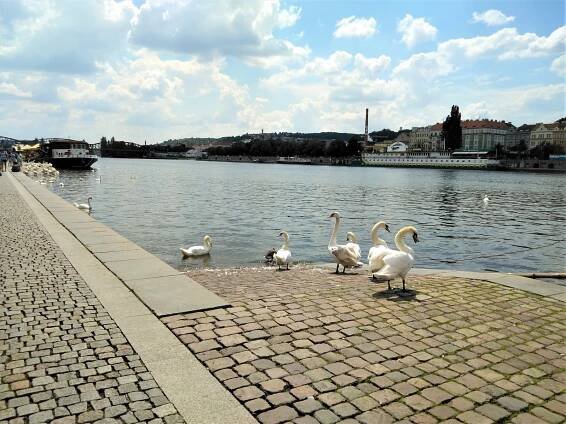 Popíjení na náplavkách utne půlnoc. Praha chystá změnu vyhlášky