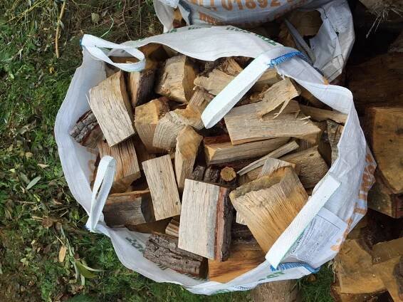 Gallery | Treecycle Tree Care 