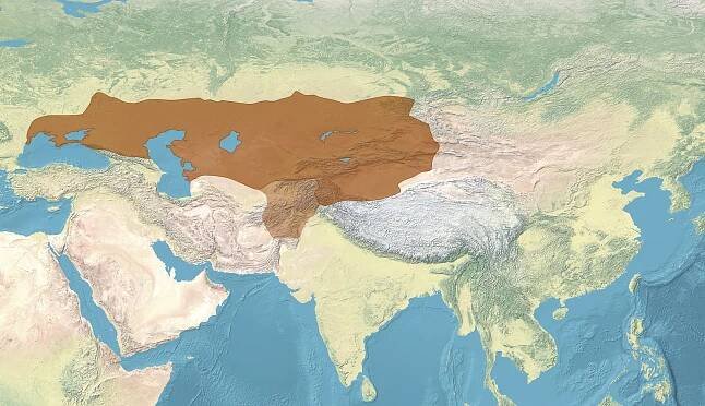 Western Turkic Khaganate - Wikipedia