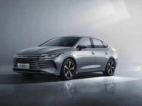 BYD brand picture (10)