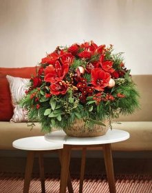 Rot, Gold, Cremeweiß und genauso knallbunt! / Amaryllis-Bouquets bringen Farbe in die Adventszeit
