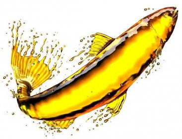 Rybí olej - vše co potřebujete vědět - účinky + ceny - Bio Poradce