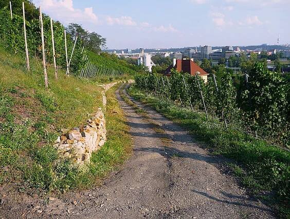 Zilvarovy vinice – tip na výlet | Vyletnik.cz