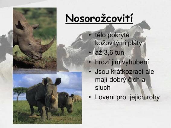 PPT - Lichokopytníci PowerPoint Presentation, free download - ID:5200396