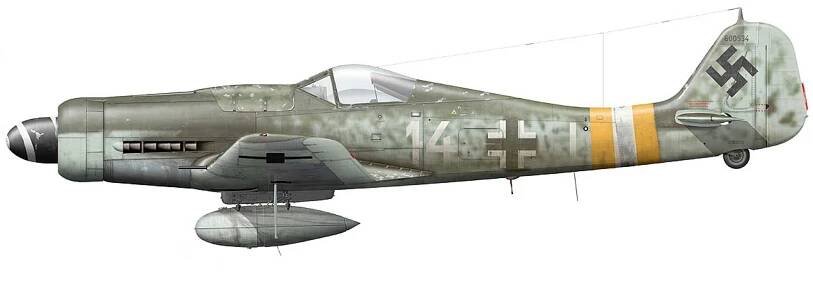 Fw 190D-9 - White 14 - 600534
