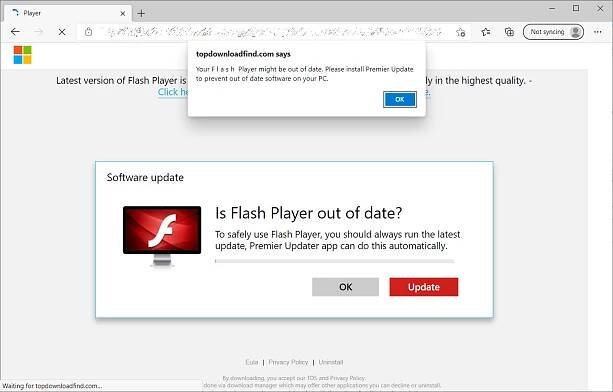 Website stating Flash Player needs to be updated