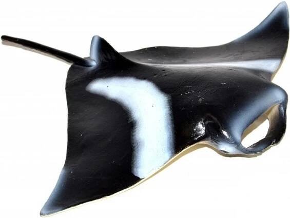 Atlas C Rejnok Manta