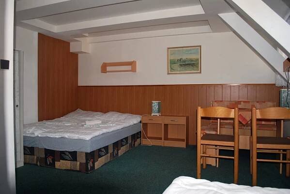 Penzion Na Staré Cestě Destne v Orlickych horach Pokoj fotografie