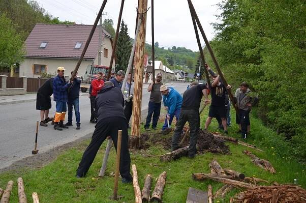 Stavění máje 2025 - Oficiální stránky obce Valašská Senice