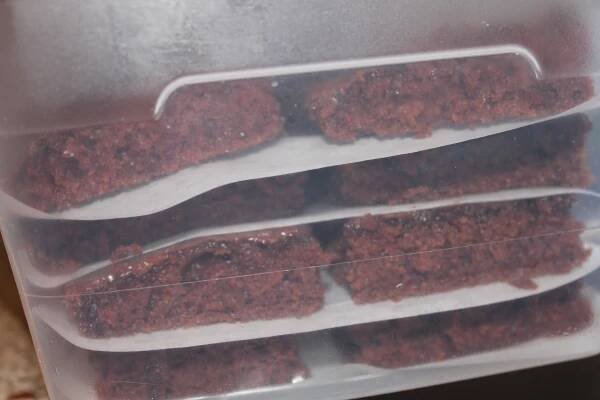Freeze Brownies