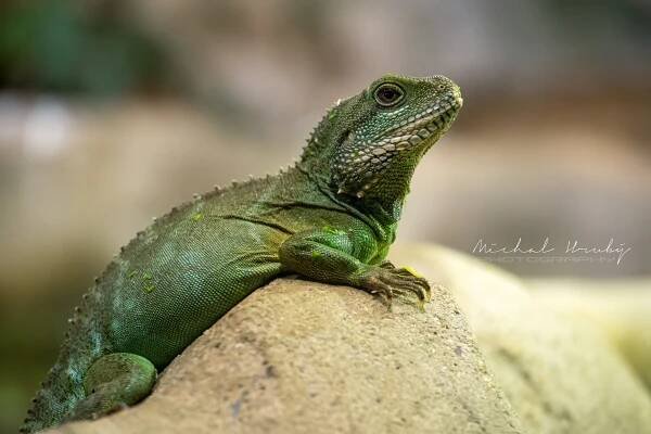 Zoo Ústí nad Labem