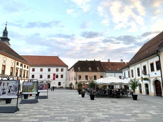 Strengthening local government roles in Croatia