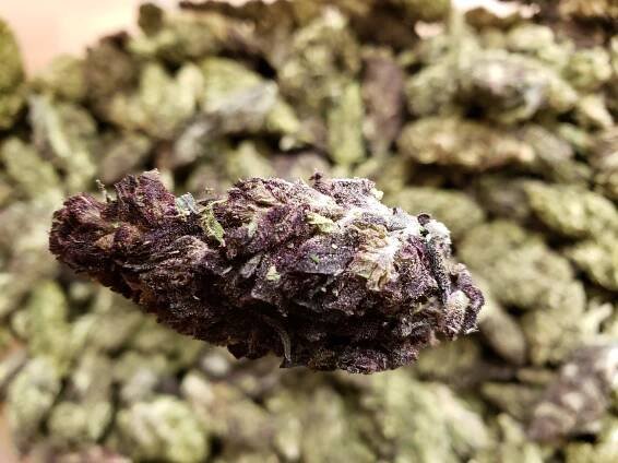 Purple Fields Tonic picture – Fields of Hemp