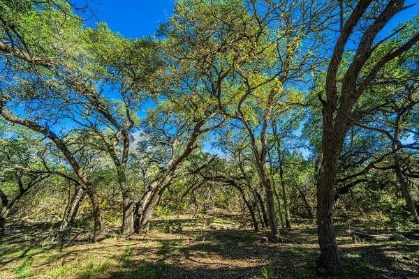 Kendall County | Black Creek Ranch | E of Boerne | Texas Ranches For Sale