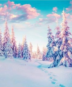 Enchanting Winter Solstice Night Wallpaper