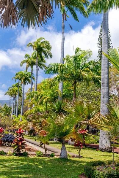 Jardin de l’état, Saint-Denis de La Réunion