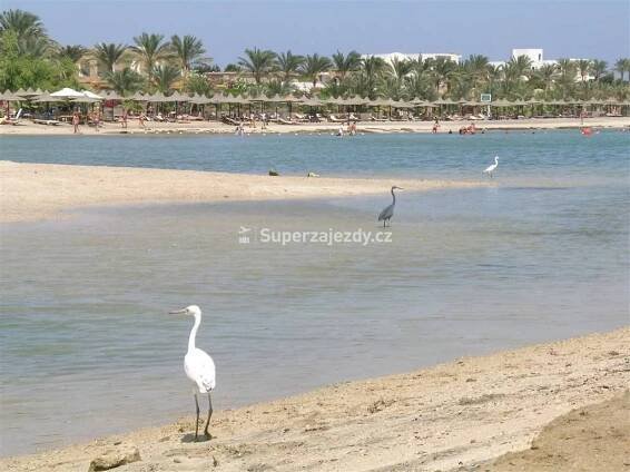BRAYKA BAY RESORT - Egypt - Marsa Alam | Superzajezdy.cz
