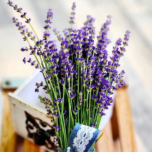 Gallery - Brady's House of Flowers