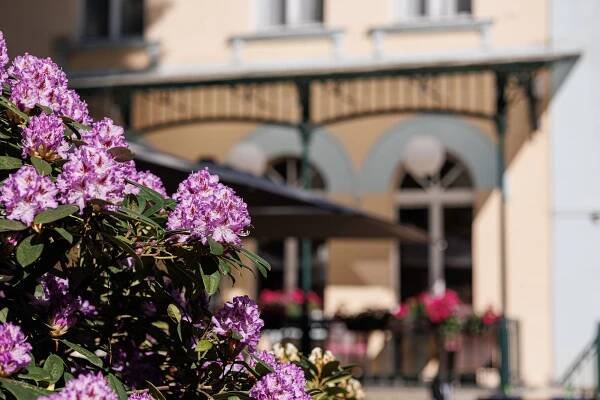 Jaro na talíři v restauraci Le Marché Karlovy Vary - Le Marché