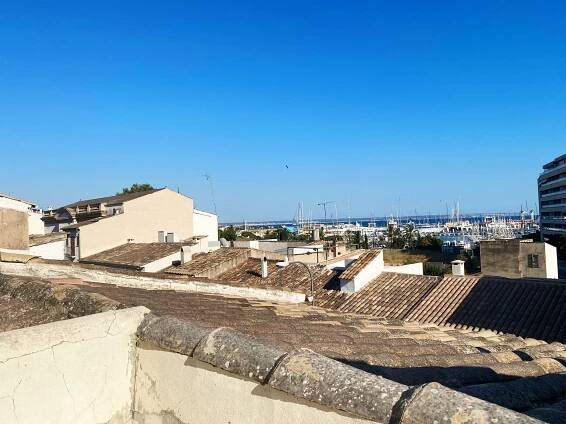 apartment in santa catalina