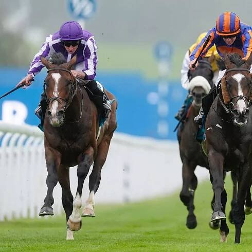 Willie Mullins and Aidan O'Brien make entries in 2025 £4.8million Melbourne Cup