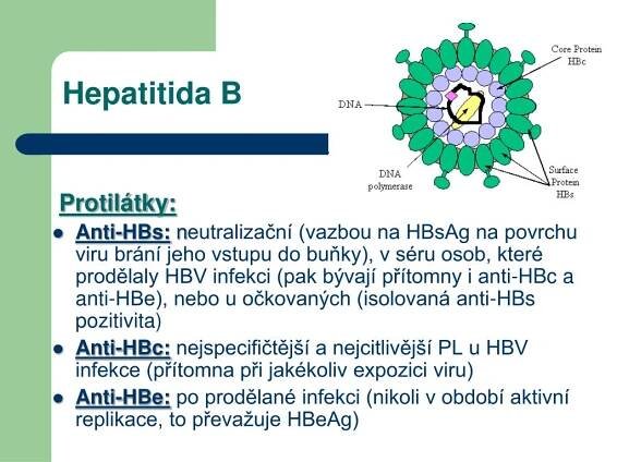 PPT - Hyperbilirubinémie PowerPoint Presentation, free download - ID ...