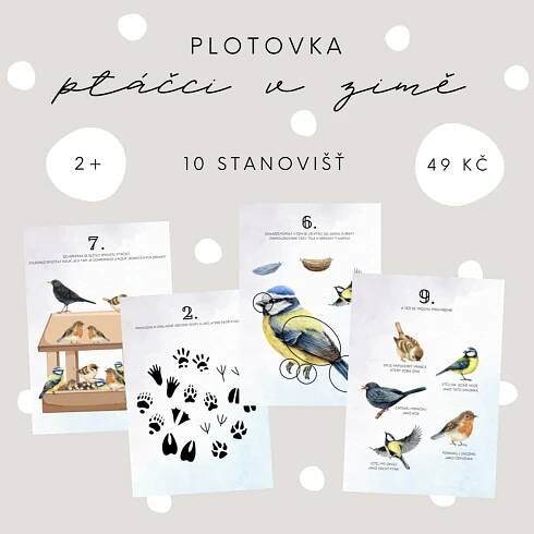 Plotovka - ptáčci v zimě | Inspirace (nejen) do školky