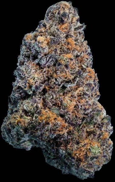Rainbow-P-Bud