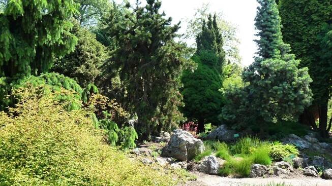 Botanická zahrada Olomouc – Otevírací doba, vstupné, průvodce