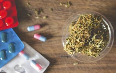 Může lékařská marihuana pomoci omezit opiátovou epidemii? - Blog SemenaMarihuany.cz