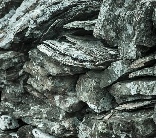 detail-23.jpg