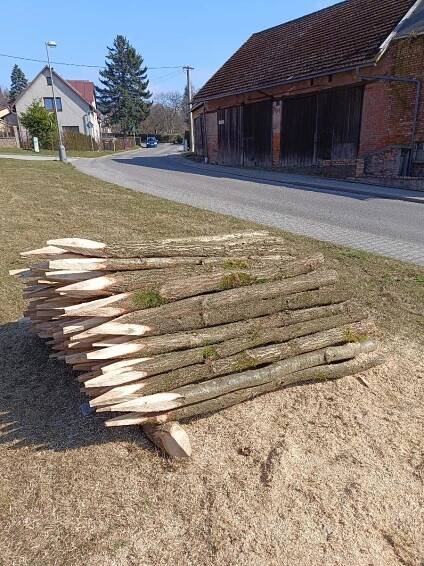 Tvrdé palivové dřevo a dubové kůly | Aukro