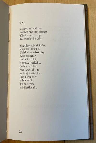Anna Pammrová – Divočinu slov mi nech… (2025) – Poetický klub